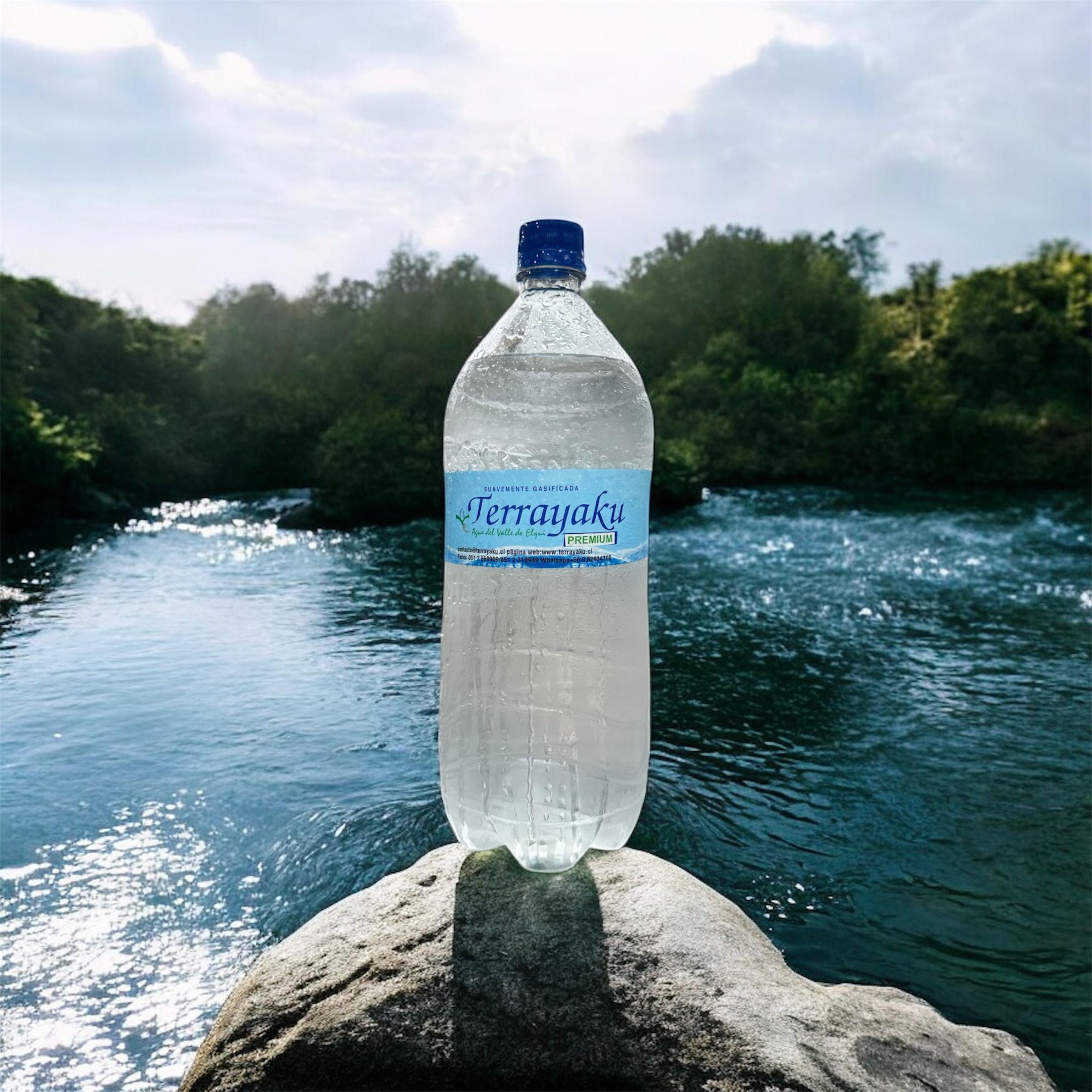 Botella 1.5 Litros Gas