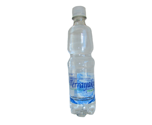 Agua purificada botella 500cc sin gas